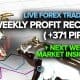 Weekly Profit Recap (+371 Pips) + Next Week's Market Insight