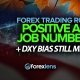 Positive ADP Job Numbers But DXY Bias Still Mixed