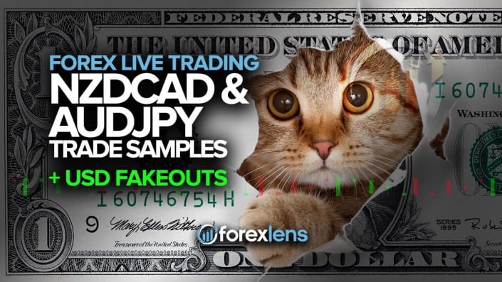 NZDCAD and AUDJPY Trade Ideas + USD Fakeouts