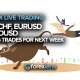 USDCHF, EURUSD and NZDUSD Swing Trades for Next Week