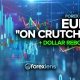 Euro "On Crutches" and Dollar Rebounds