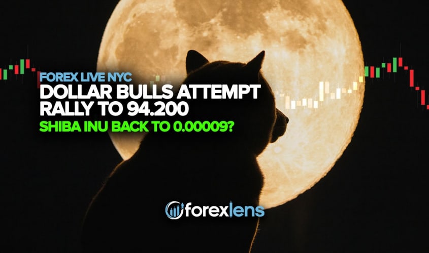 Dollar Bulls Attempt a Rally to 94.200 + Shiba Inu Back to 0.00009?
